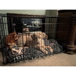 Image 3 of customer photos