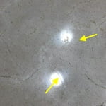 Image 2 of customer photos