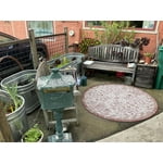 Image 7 of customer photos