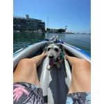 Image 6 of customer photos