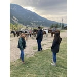 Image 4 of customer photos