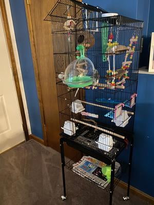 bird cages for sale walmart