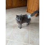 Image 3 of customer photos