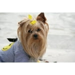 Image 5 of customer photos