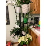 Image 4 of customer photos