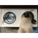 Image 6 of customer photos