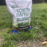 Image 7 of customer photos