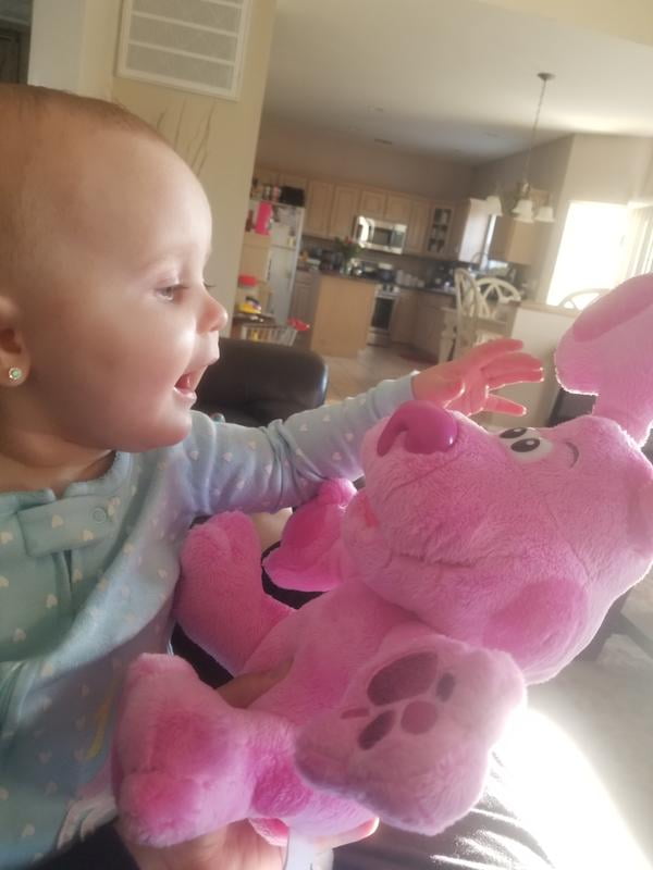 peek a boo blue's clue