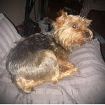 Image 4 of customer photos