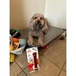 Image 5 of customer photos