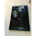 Image 5 of customer photos