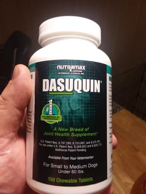 dasuquin for dogs walmart