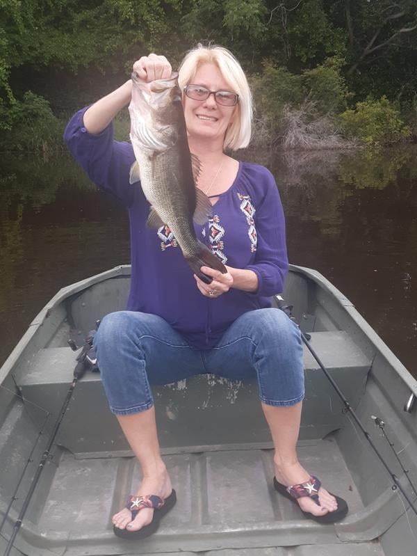 zebco bullet walmart