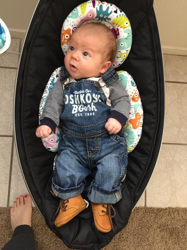 mamaroo monster insert