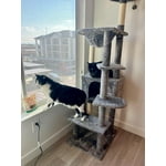 Image 7 of customer photos