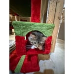 Image 4 of customer photos