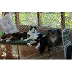 Image 4 of customer photos