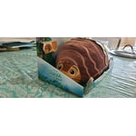 Image 7 of customer photos