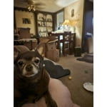 Image 6 of customer photos