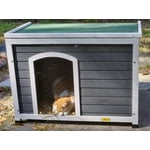 Image 2 of customer photos