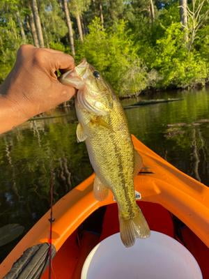 21-39299 DOCK DEMON RED 30