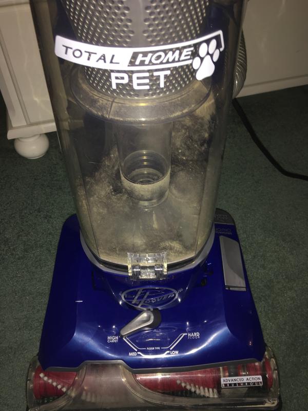 hoover total home pet belt walmart