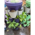 Image 4 of customer photos