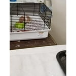 Image 5 of customer photos