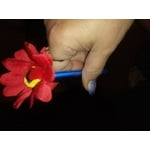 Image 5 of customer photos