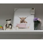 Image 5 of customer photos