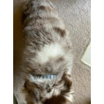 Image 2 of customer photos