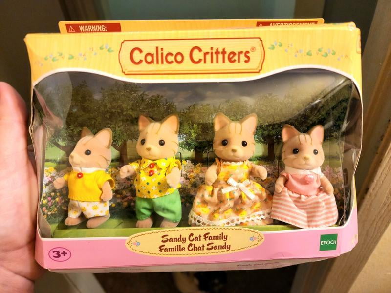 Sandy cat best sale family