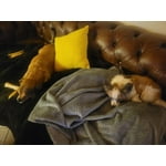 Image 7 of customer photos