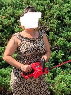 walmart hyper tough hedge trimmer