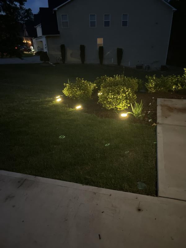 Member's Mark 6-Piece LED Solar Disc Lights - Oil-Rubbed Bronze