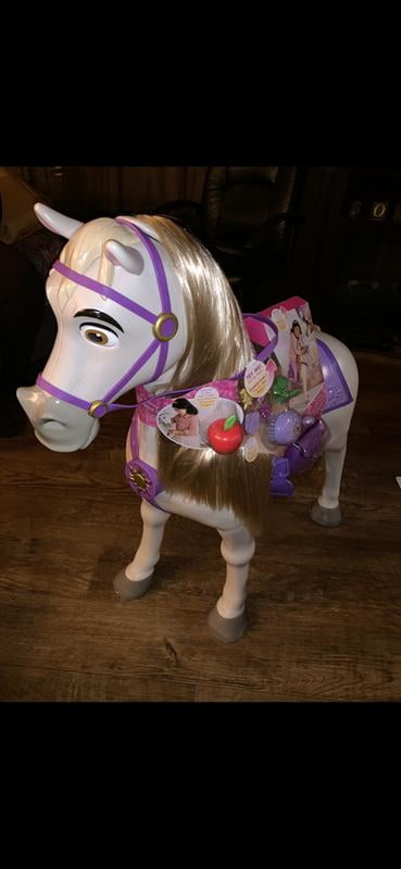 Asda biggie pets clearance