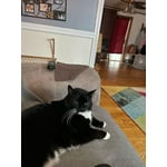 Image 6 of customer photos