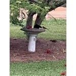 Image 3 of customer photos