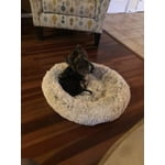 Image 6 of customer photos