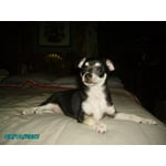 Image 6 of customer photos