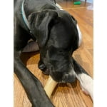 Image 3 of customer photos