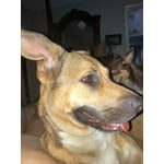 Image 2 of customer photos