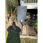 Image 6 of customer photos