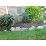 Image 6 of customer photos