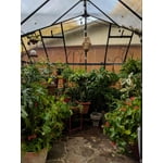 Image 4 of customer photos