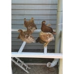 Image 5 of customer photos