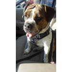 Image 2 of customer photos