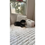 Image 5 of customer photos