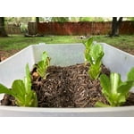 Image 5 of customer photos