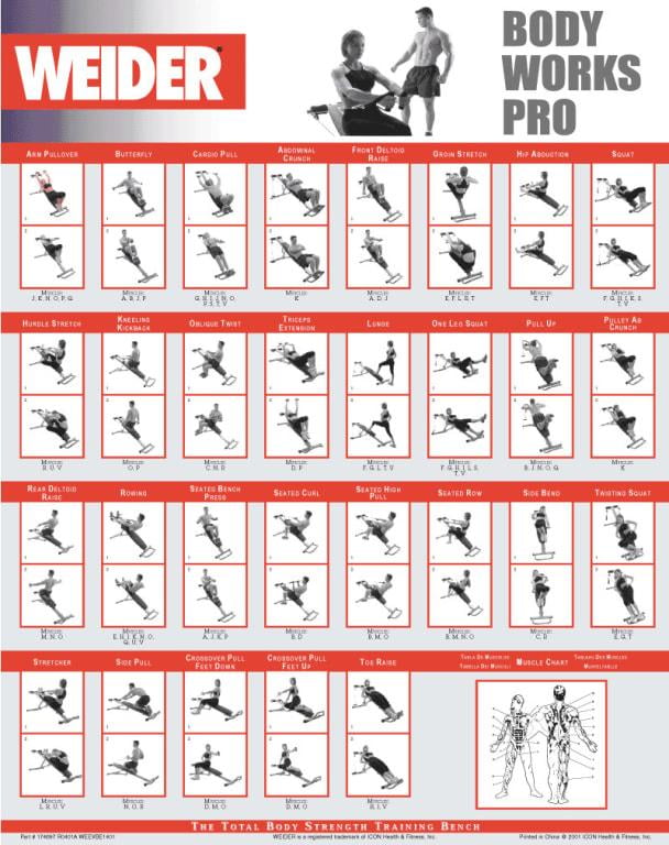 Weider Home Gym Exercise Chart Pdf